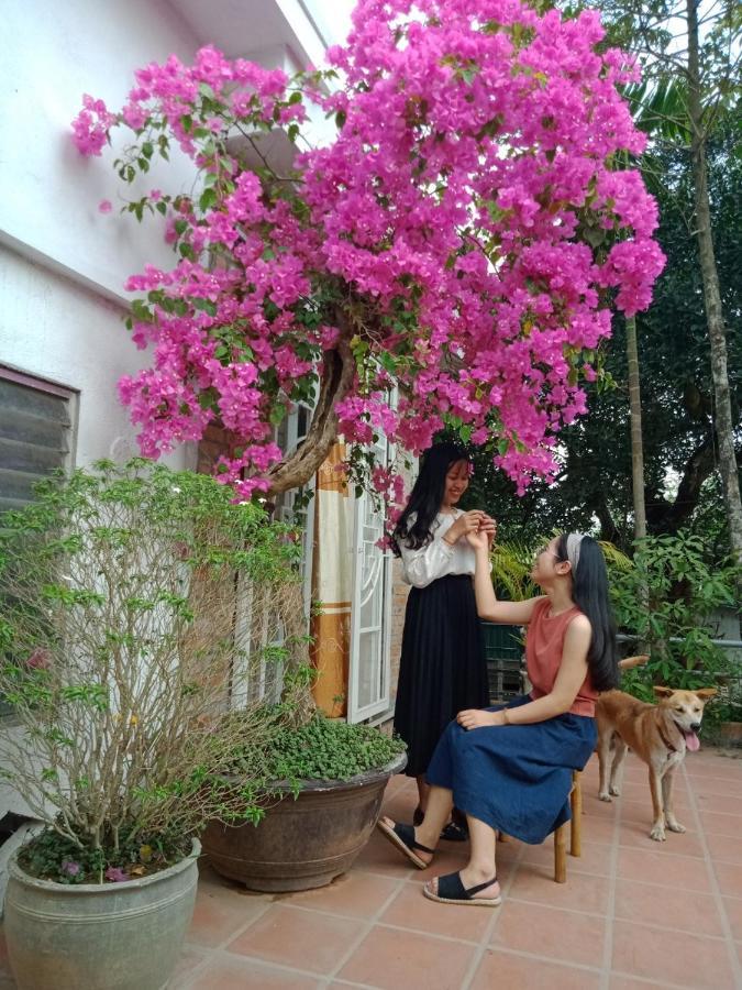 هوي Le Home المظهر الخارجي الصورة